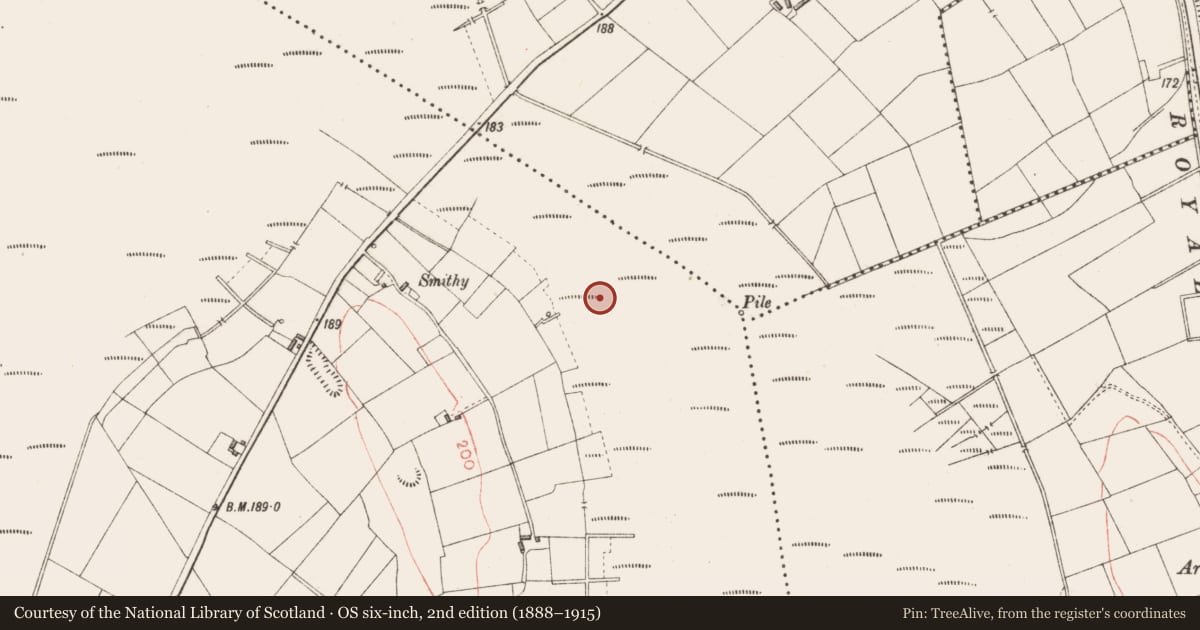 Ordnance Survey six-inch map, 2nd edition (1888–1915) covering the location of Platform - peatland, Derryoghil, County Longford, with a pin at the register's coordinates