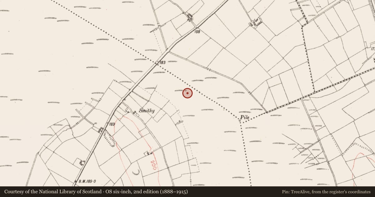 Ordnance Survey six-inch map, 2nd edition (1888–1915) covering the location of Road - class 2 togher, Derryoghil, County Longford, with a pin at the register's coordinates