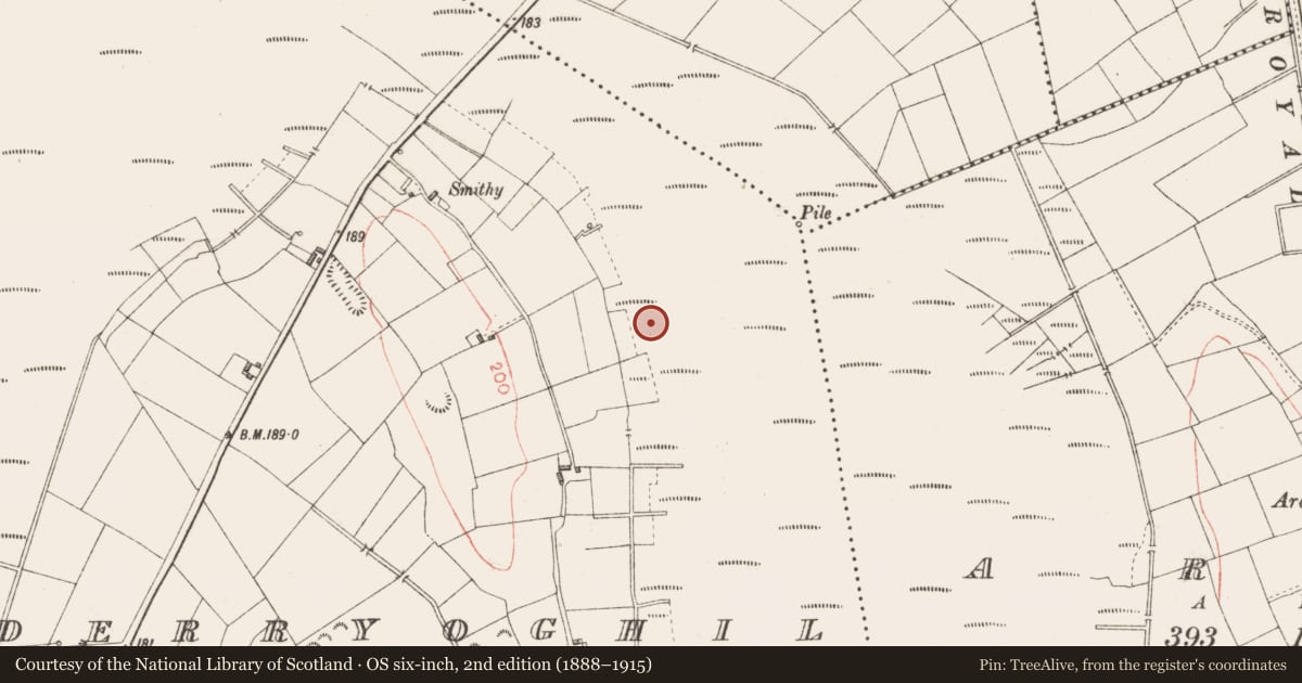Ordnance Survey six-inch map, 2nd edition (1888–1915) covering the location of Road - class 1 togher, Derryoghil, County Longford, with a pin at the register's coordinates