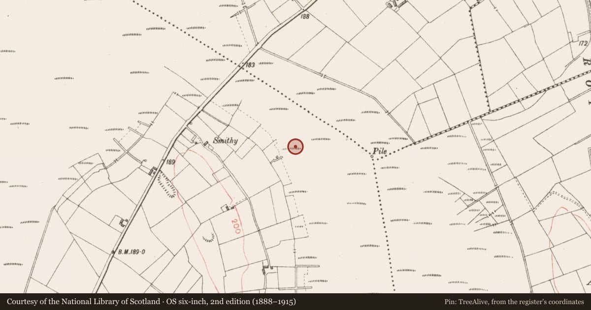Ordnance Survey six-inch map, 2nd edition (1888–1915) covering the location of Road - class 2 togher, Derryoghil, County Longford, with a pin at the register's coordinates