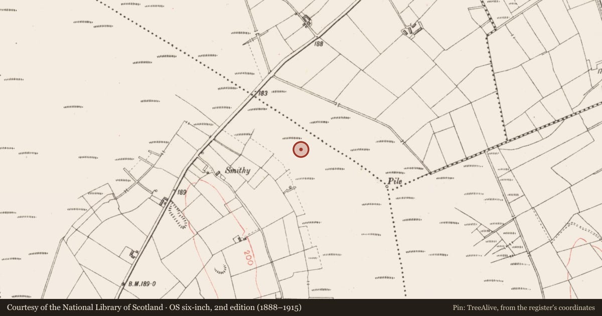 Ordnance Survey six-inch map, 2nd edition (1888–1915) covering the location of Platform - peatland, Derryoghil, County Longford, with a pin at the register's coordinates