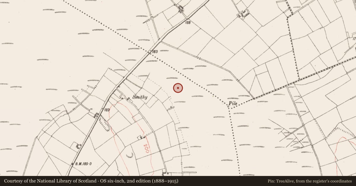 Ordnance Survey six-inch map, 2nd edition (1888–1915) covering the location of Road - unclassified togher, Derryoghil, County Longford, with a pin at the register's coordinates