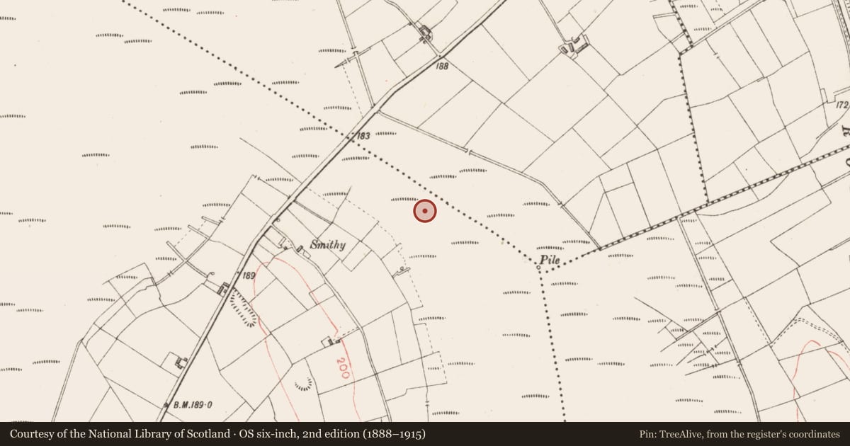 Ordnance Survey six-inch map, 2nd edition (1888–1915) covering the location of Road - class 2 togher, Derryoghil, County Longford, with a pin at the register's coordinates