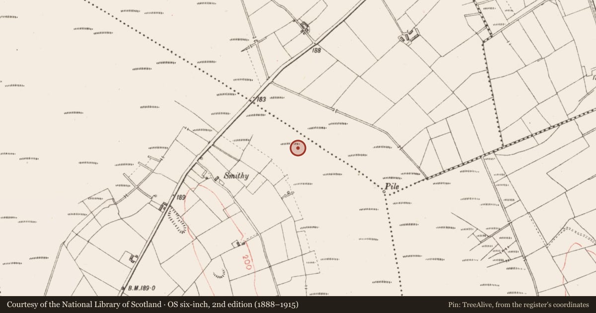 Ordnance Survey six-inch map, 2nd edition (1888–1915) covering the location of Road - unclassified togher, Derryoghil, County Longford, with a pin at the register's coordinates