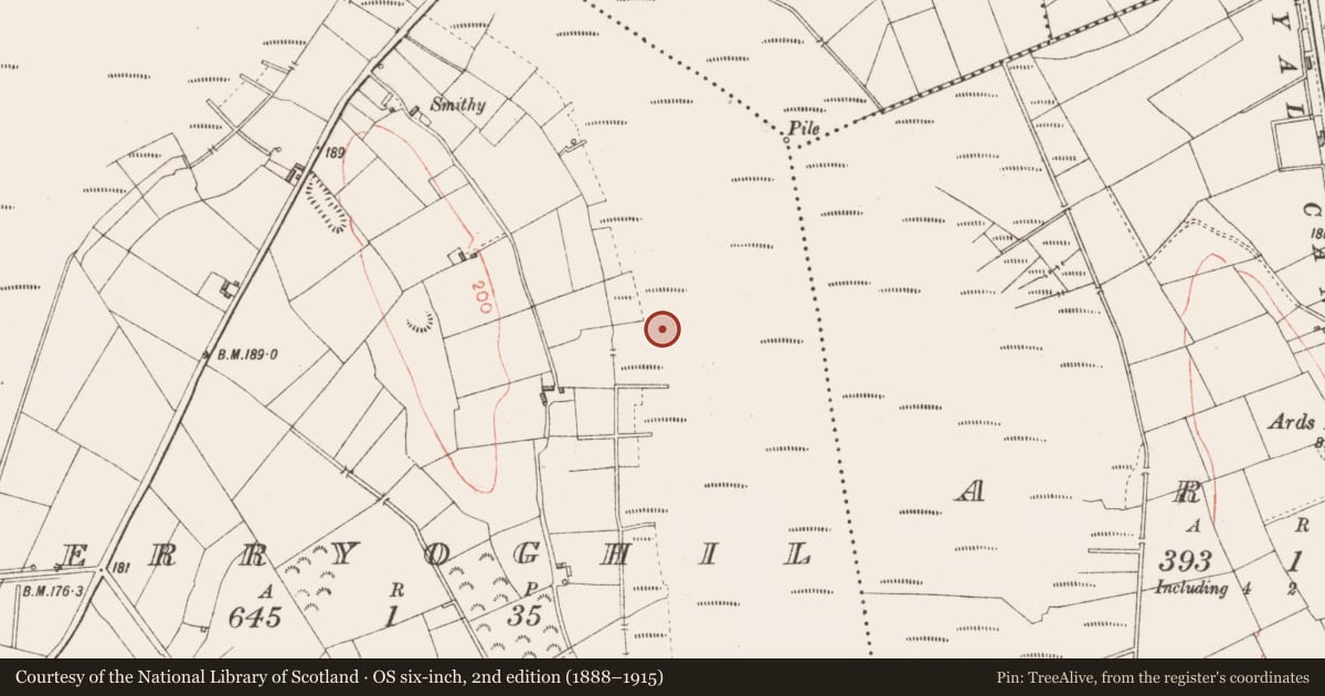 Ordnance Survey six-inch map, 2nd edition (1888–1915) covering the location of Platform - peatland, Derryoghil, County Longford, with a pin at the register's coordinates