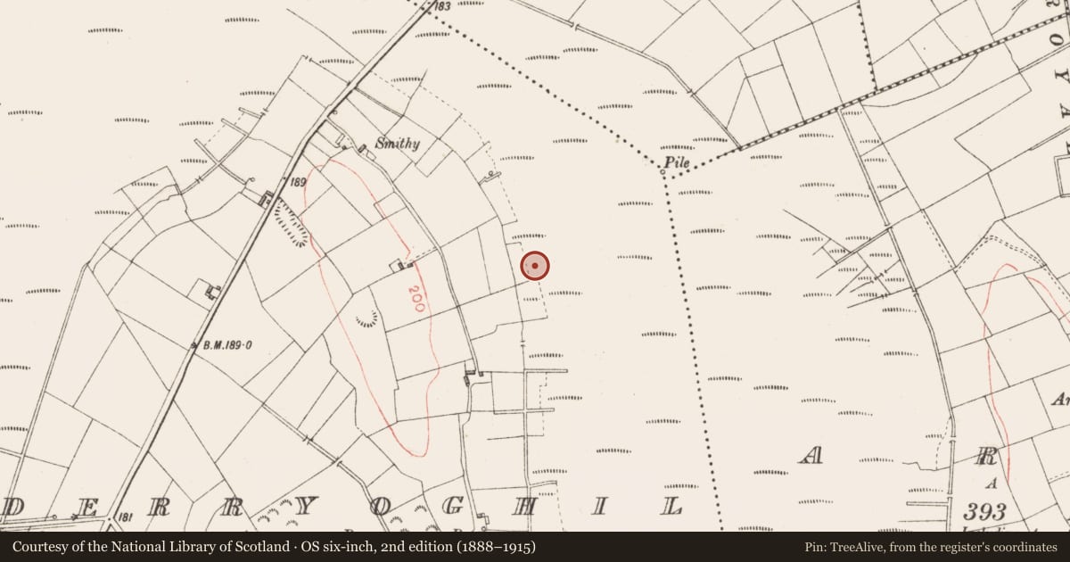 Ordnance Survey six-inch map, 2nd edition (1888–1915) covering the location of Road - class 3 togher, Derryoghil, County Longford, with a pin at the register's coordinates
