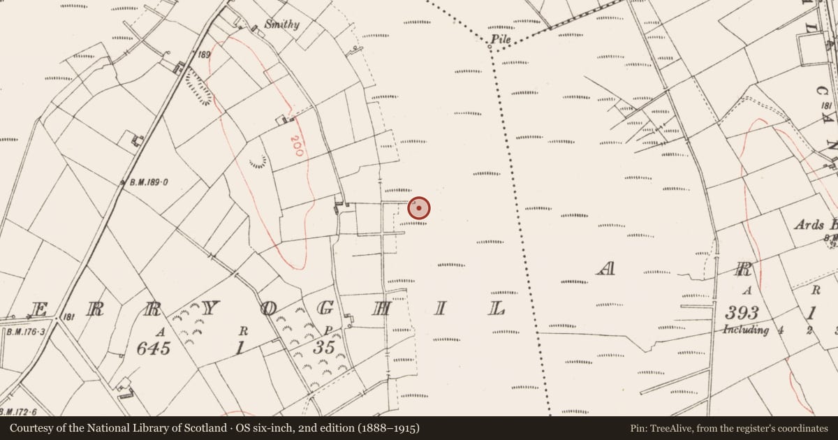 Ordnance Survey six-inch map, 2nd edition (1888–1915) covering the location of Road - class 2 togher, Derryoghil, County Longford, with a pin at the register's coordinates