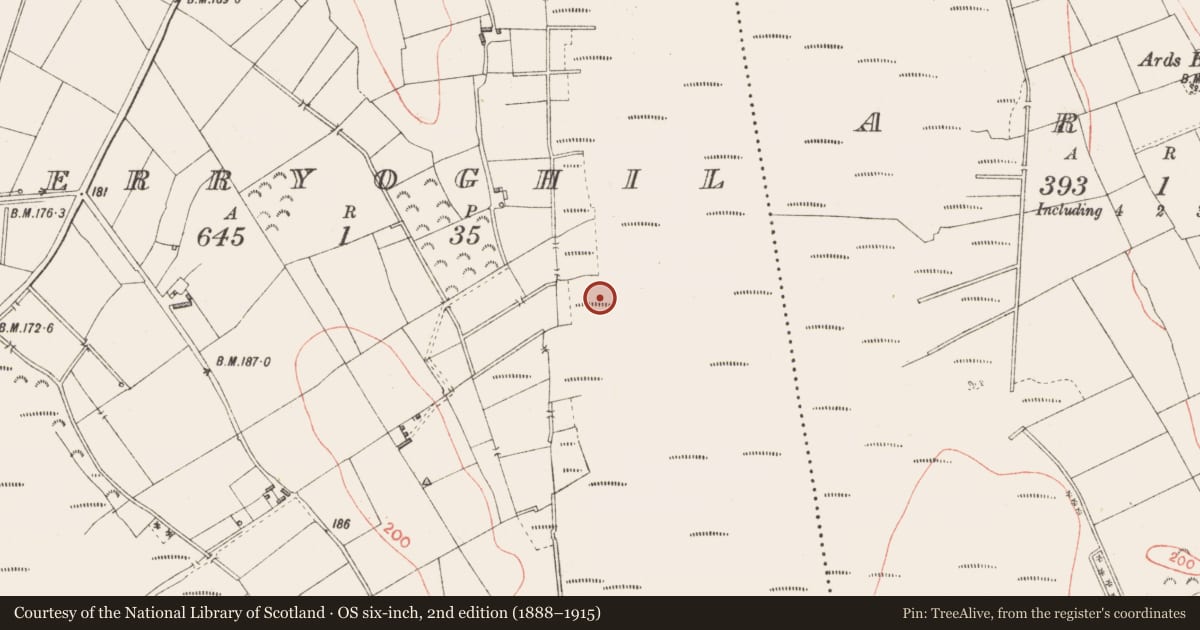 Ordnance Survey six-inch map, 2nd edition (1888–1915) covering the location of Platform - peatland, Derryoghil, County Longford, with a pin at the register's coordinates