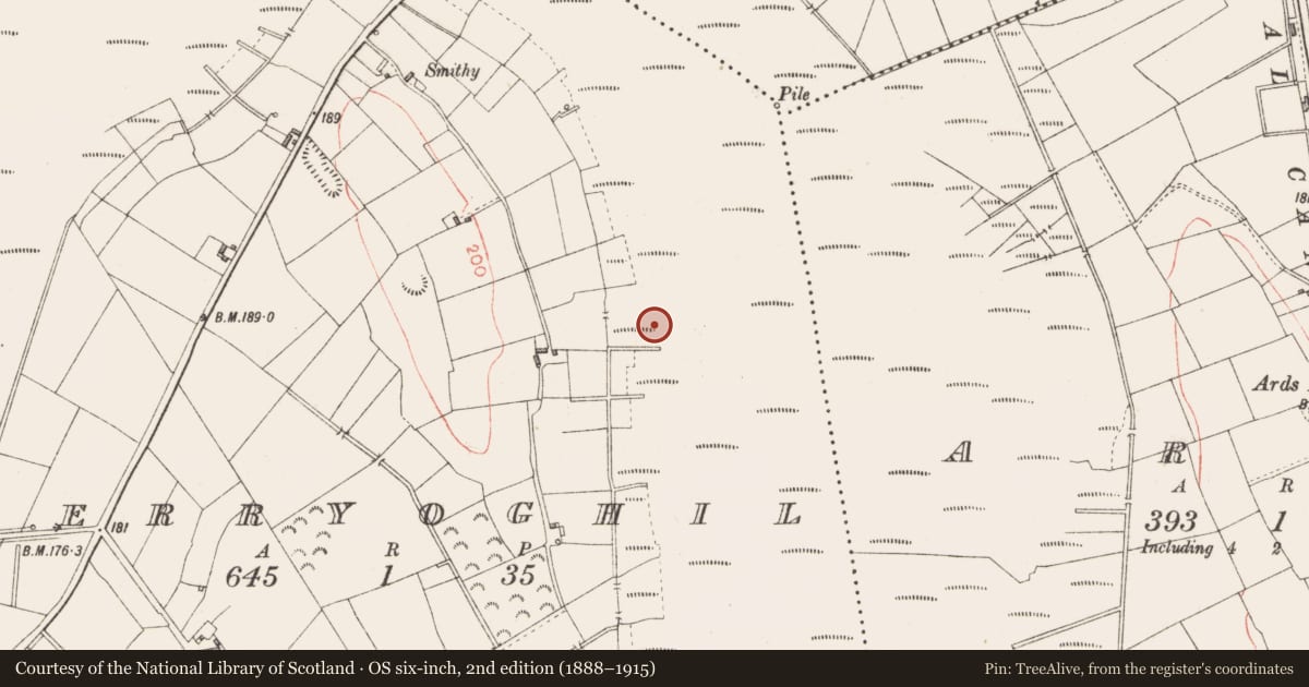 Ordnance Survey six-inch map, 2nd edition (1888–1915) covering the location of Road - class 3 togher, Derryoghil, County Longford, with a pin at the register's coordinates