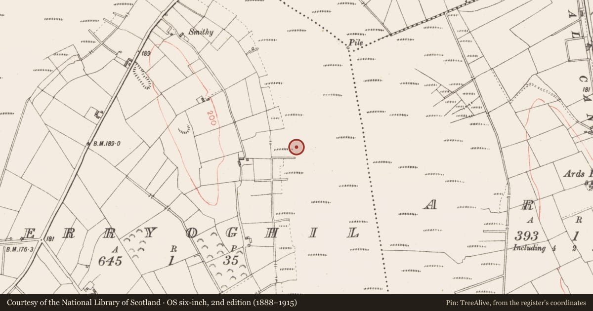 Ordnance Survey six-inch map, 2nd edition (1888–1915) covering the location of Road - class 2 togher, Derryoghil, County Longford, with a pin at the register's coordinates