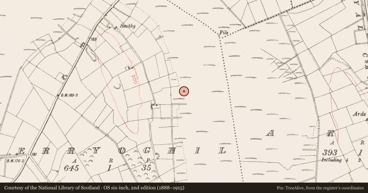 Ordnance Survey six-inch map, 2nd edition (1888–1915) covering the location of Road - unclassified togher, Derryoghil, County Longford, with a pin at the register's coordinates