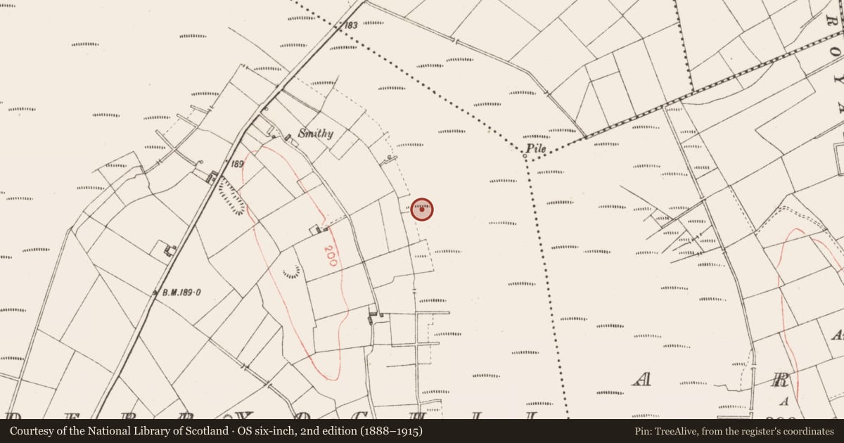 Ordnance Survey six-inch map, 2nd edition (1888–1915) covering the location of Road - class 3 togher, Derryoghil, County Longford, with a pin at the register's coordinates