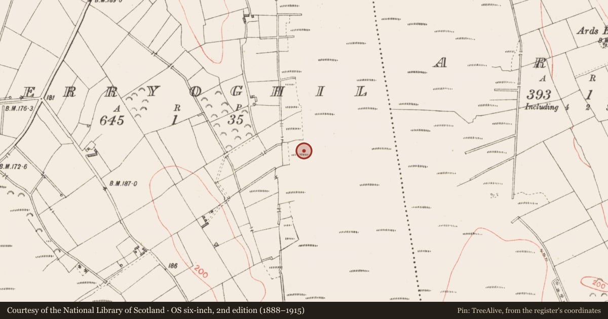 Ordnance Survey six-inch map, 2nd edition (1888–1915) covering the location of Platform - peatland, Derryoghil, County Longford, with a pin at the register's coordinates