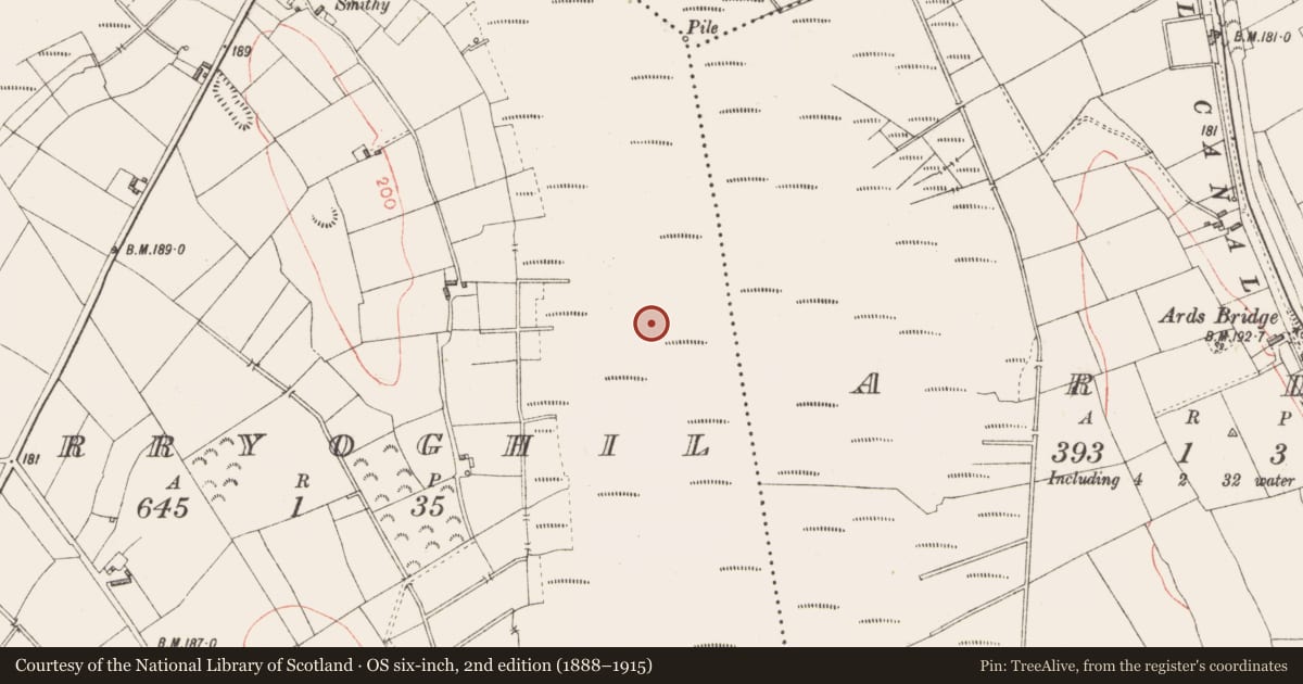 Ordnance Survey six-inch map, 2nd edition (1888–1915) covering the location of Road - class 1 togher, Ards, Derryoghil, County Longford, with a pin at the register's coordinates