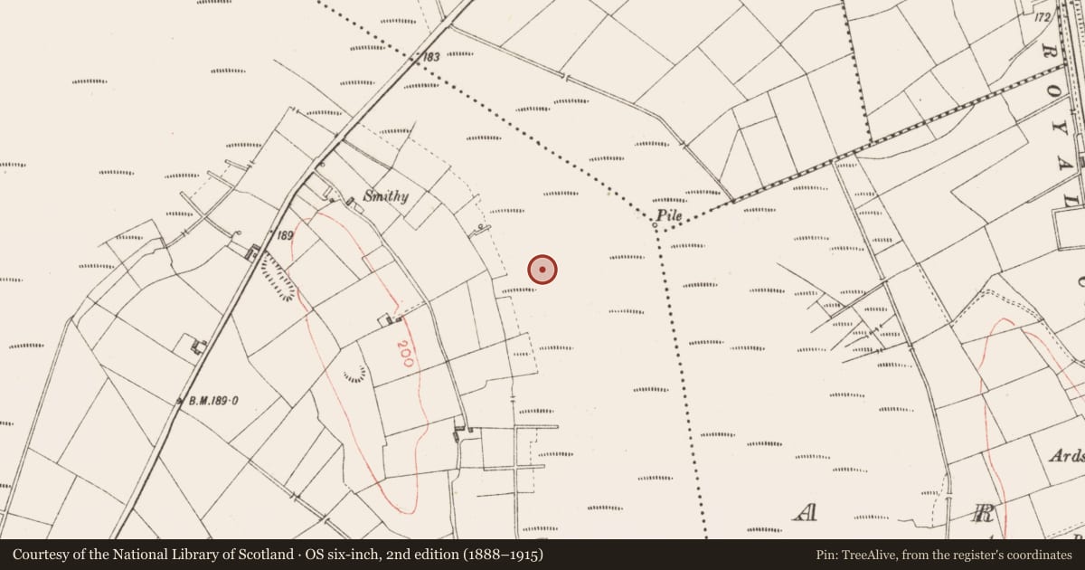 Ordnance Survey six-inch map, 2nd edition (1888–1915) covering the location of Road - class 3 togher, Derryoghil, County Longford, with a pin at the register's coordinates