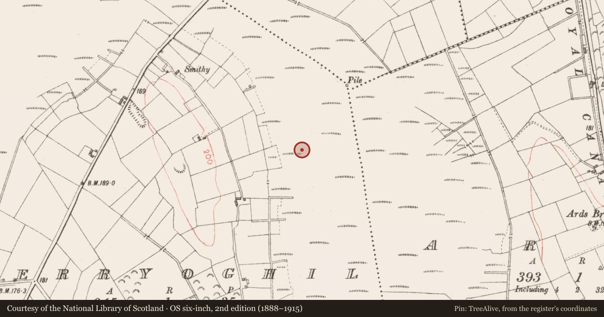 Ordnance Survey six-inch map, 2nd edition (1888–1915) covering the location of Road - class 2 togher, Derryoghil, County Longford, with a pin at the register's coordinates