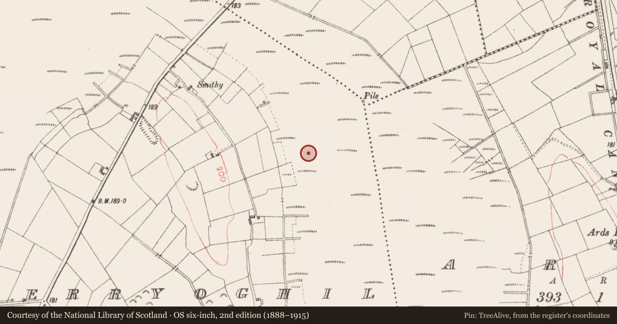 Ordnance Survey six-inch map, 2nd edition (1888–1915) covering the location of Road - class 3 togher, Derryoghil, County Longford, with a pin at the register's coordinates