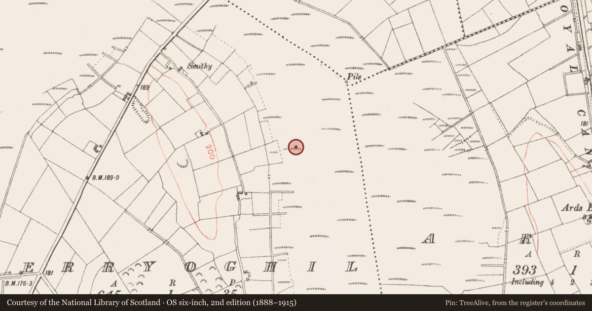 Ordnance Survey six-inch map, 2nd edition (1888–1915) covering the location of Platform - peatland, Derryoghil, County Longford, with a pin at the register's coordinates