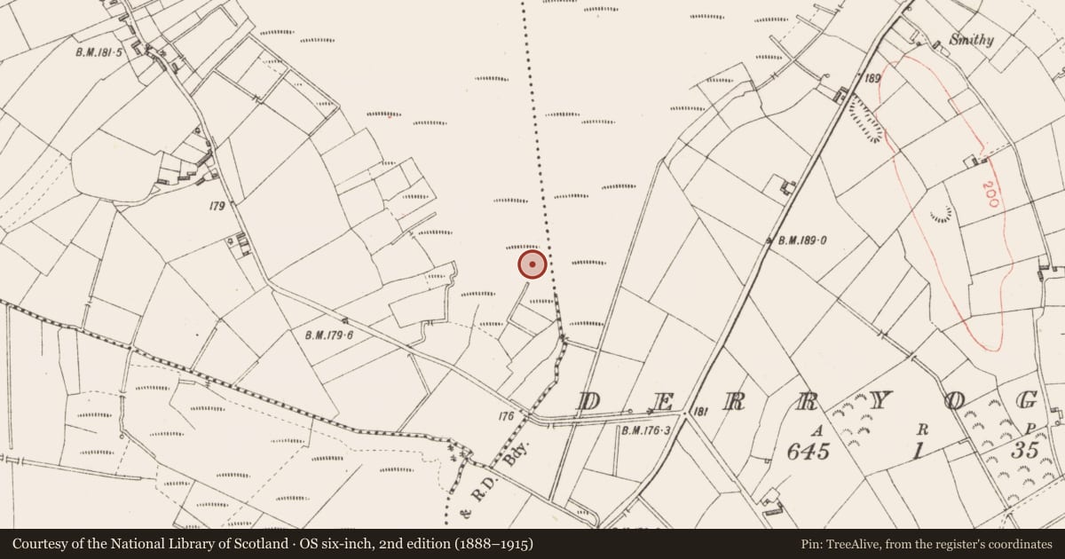 Ordnance Survey six-inch map, 2nd edition (1888–1915) covering the location of Road - class 3 togher, Derryoghil, County Longford, with a pin at the register's coordinates