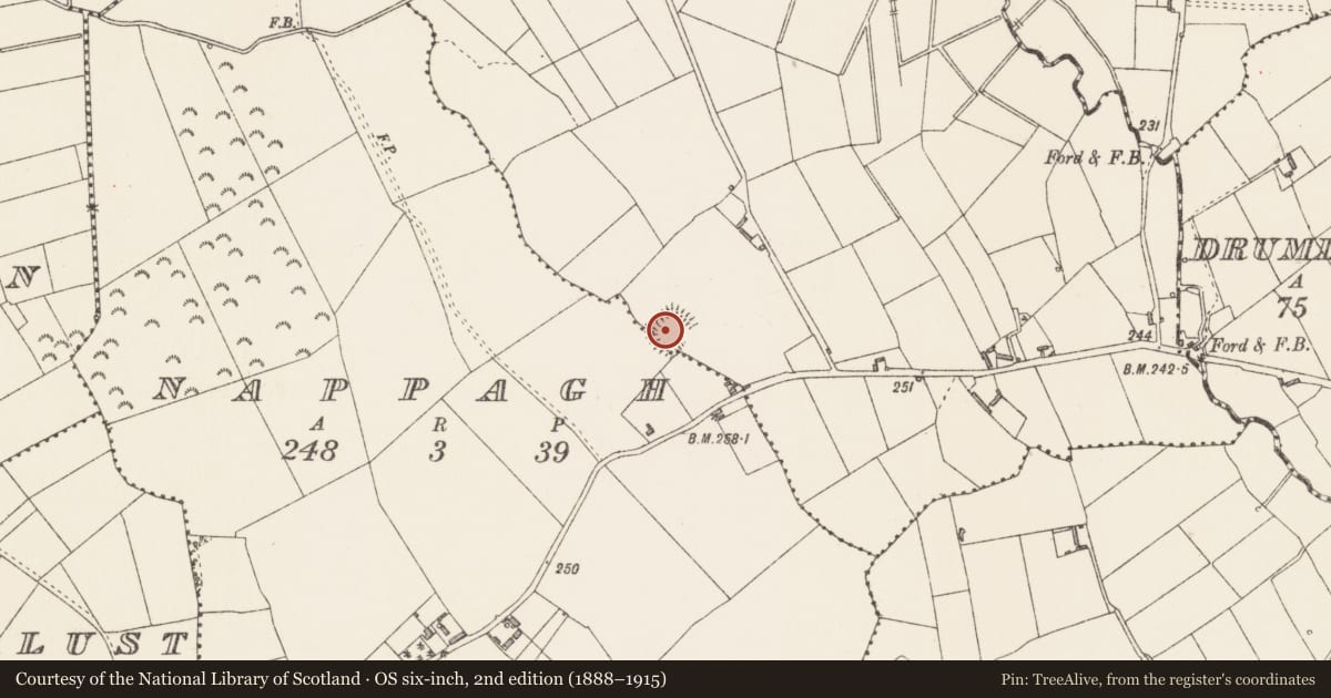 Ordnance Survey six-inch map, 2nd edition (1888–1915) covering the location of Moated site, Derrymore, Nappagh, County Longford, with a pin at the register's coordinates