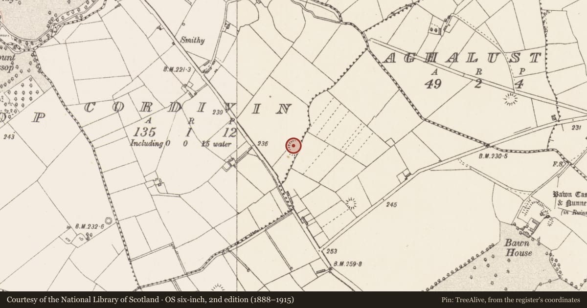 Ordnance Survey six-inch map, 2nd edition (1888–1915) covering the location of Ringfort - rath, Bawn, Cordivin, County Longford, with a pin at the register's coordinates