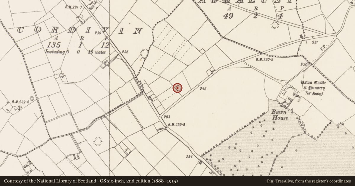 Ordnance Survey six-inch map, 2nd edition (1888–1915) covering the location of Ringfort - rath, Bawn, County Longford, with a pin at the register's coordinates