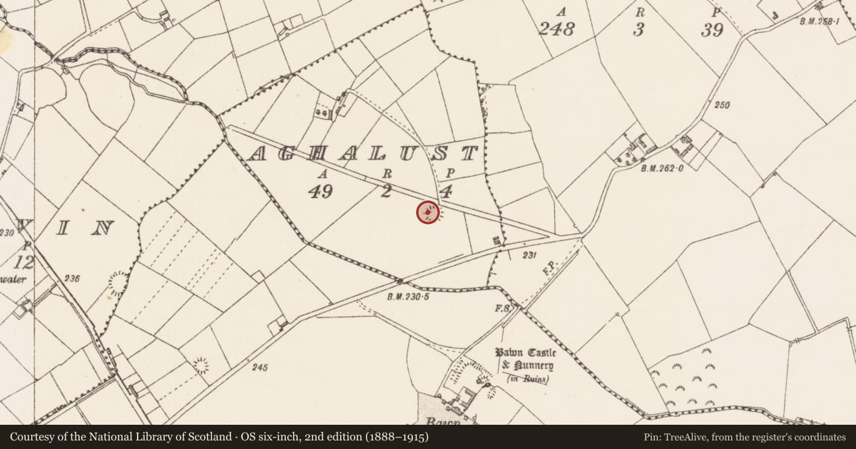 Ordnance Survey six-inch map, 2nd edition (1888–1915) covering the location of Ringfort - rath, Aghalust, County Longford, with a pin at the register's coordinates