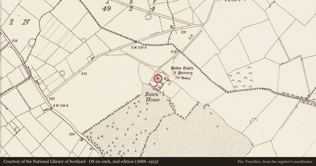 Ordnance Survey six-inch map, 2nd edition (1888–1915) covering the location of Bawn, County Longford, with a pin at the register's coordinates