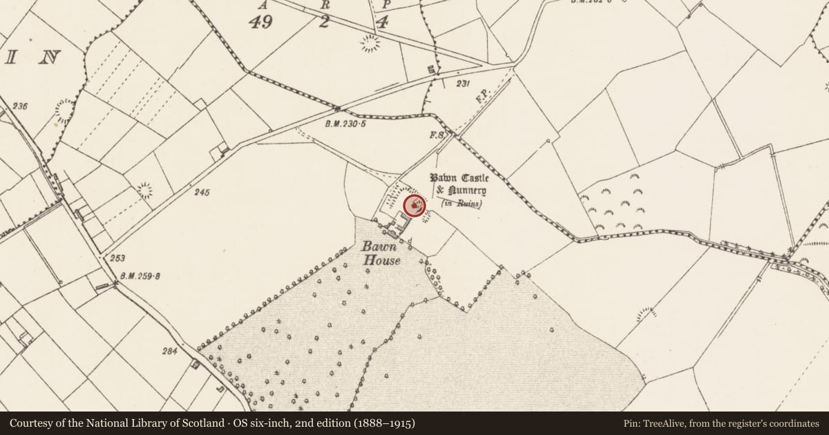 Ordnance Survey six-inch map, 2nd edition (1888–1915) covering the location of House - fortified house, Bawn, County Longford, with a pin at the register's coordinates
