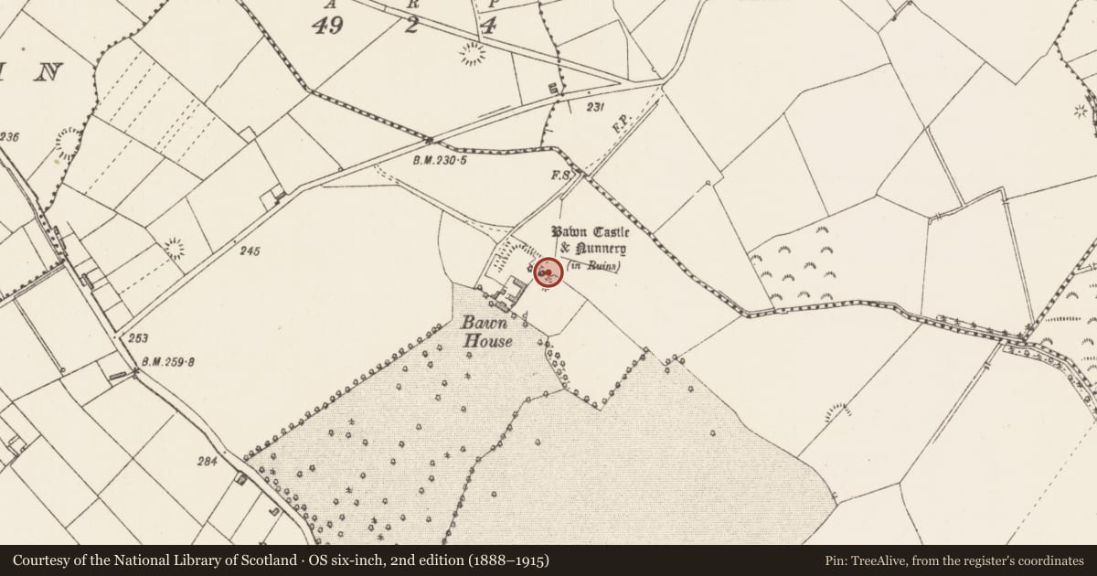 Ordnance Survey six-inch map, 2nd edition (1888–1915) covering the location of Causeway, Bawn, County Longford, with a pin at the register's coordinates