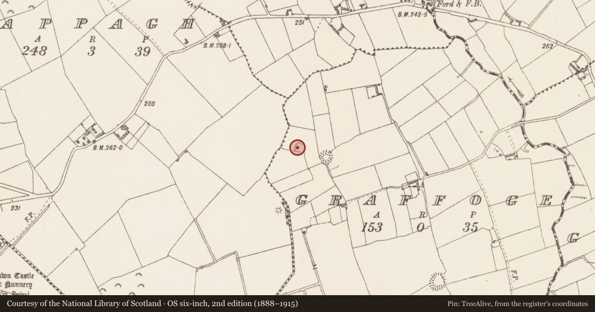Ordnance Survey six-inch map, 2nd edition (1888–1915) covering the location of Ringfort - rath, Graffoge, County Longford, with a pin at the register's coordinates