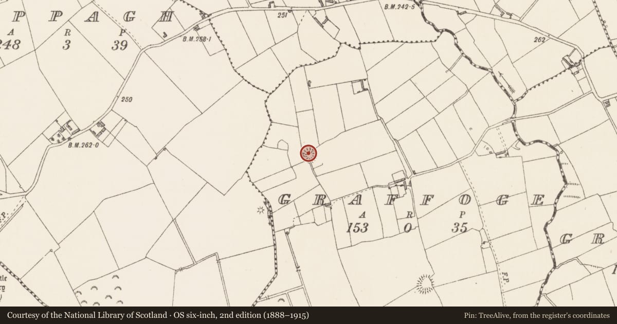 Ordnance Survey six-inch map, 2nd edition (1888–1915) covering the location of Ringfort - rath, Graffoge, County Longford, with a pin at the register's coordinates