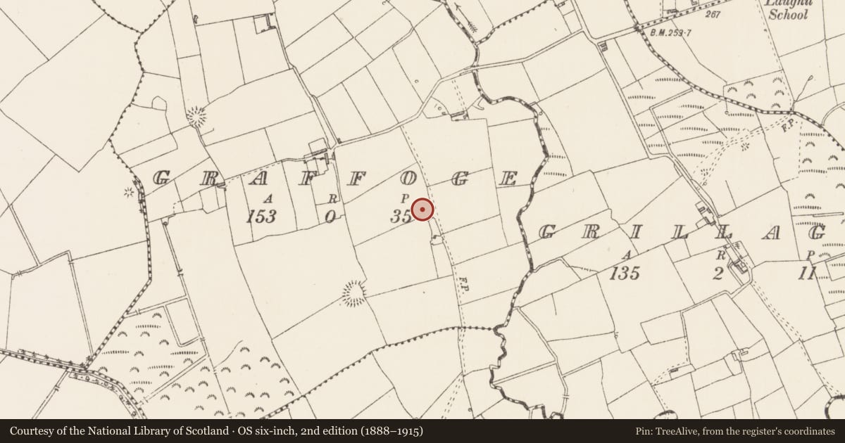 Ordnance Survey six-inch map, 2nd edition (1888–1915) covering the location of Ringfort - rath, Graffoge, County Longford, with a pin at the register's coordinates