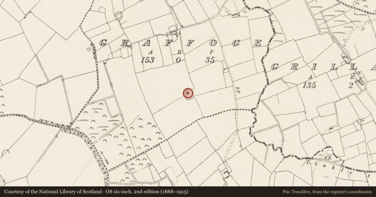 Ordnance Survey six-inch map, 2nd edition (1888–1915) covering the location of Ringfort - rath, Graffoge, County Longford, with a pin at the register's coordinates