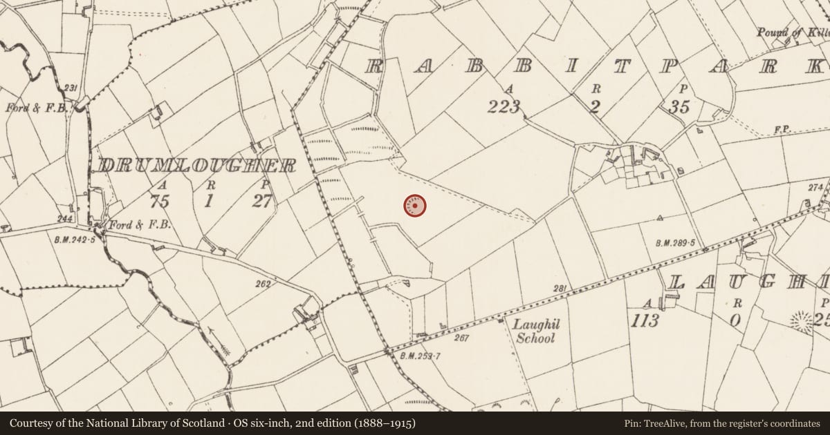 Ordnance Survey six-inch map, 2nd edition (1888–1915) covering the location of Ringfort - rath, Rabbitpark, County Longford, with a pin at the register's coordinates