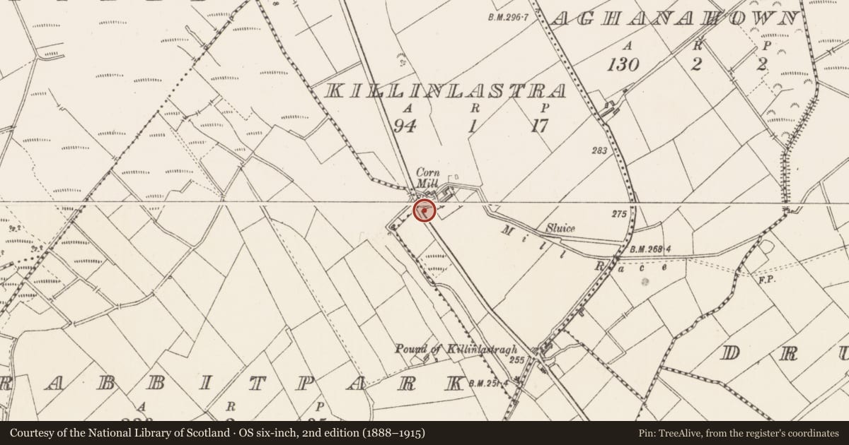 Ordnance Survey six-inch map, 2nd edition (1888–1915) covering the location of Castle - unclassified, Killinlastra, County Longford, with a pin at the register's coordinates