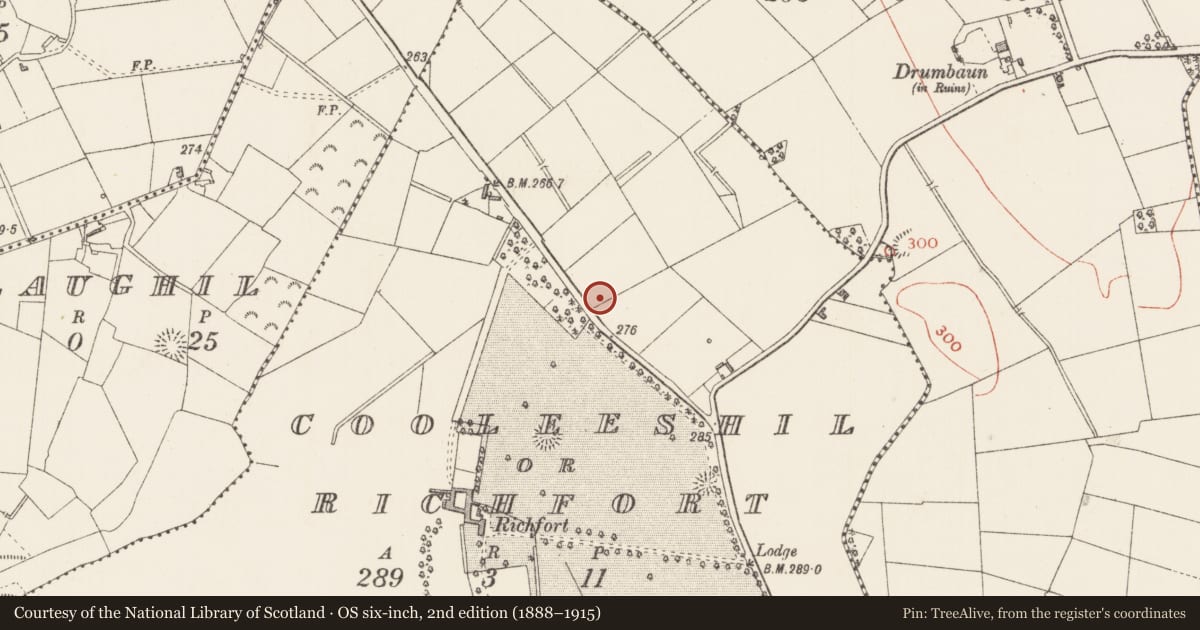 Ordnance Survey six-inch map, 2nd edition (1888–1915) covering the location of Ringfort - rath, Cooleeshil Or Richfort, County Longford, with a pin at the register's coordinates