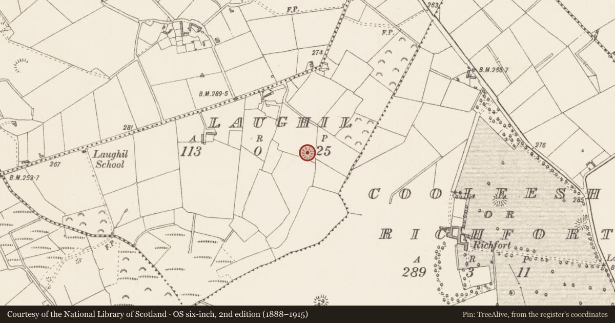 Ordnance Survey six-inch map, 2nd edition (1888–1915) covering the location of Ringfort - rath, Laughil, County Longford, with a pin at the register's coordinates