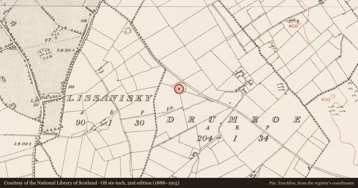 Ordnance Survey six-inch map, 2nd edition (1888–1915) covering the location of Ringfort - rath, Drumroe, County Longford, with a pin at the register's coordinates