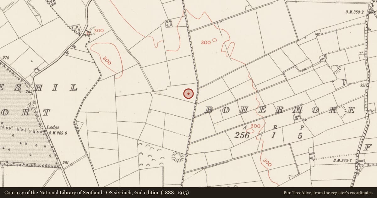 Ordnance Survey six-inch map, 2nd edition (1888–1915) covering the location of Ringfort - rath, Drumbaun, County Longford, with a pin at the register's coordinates