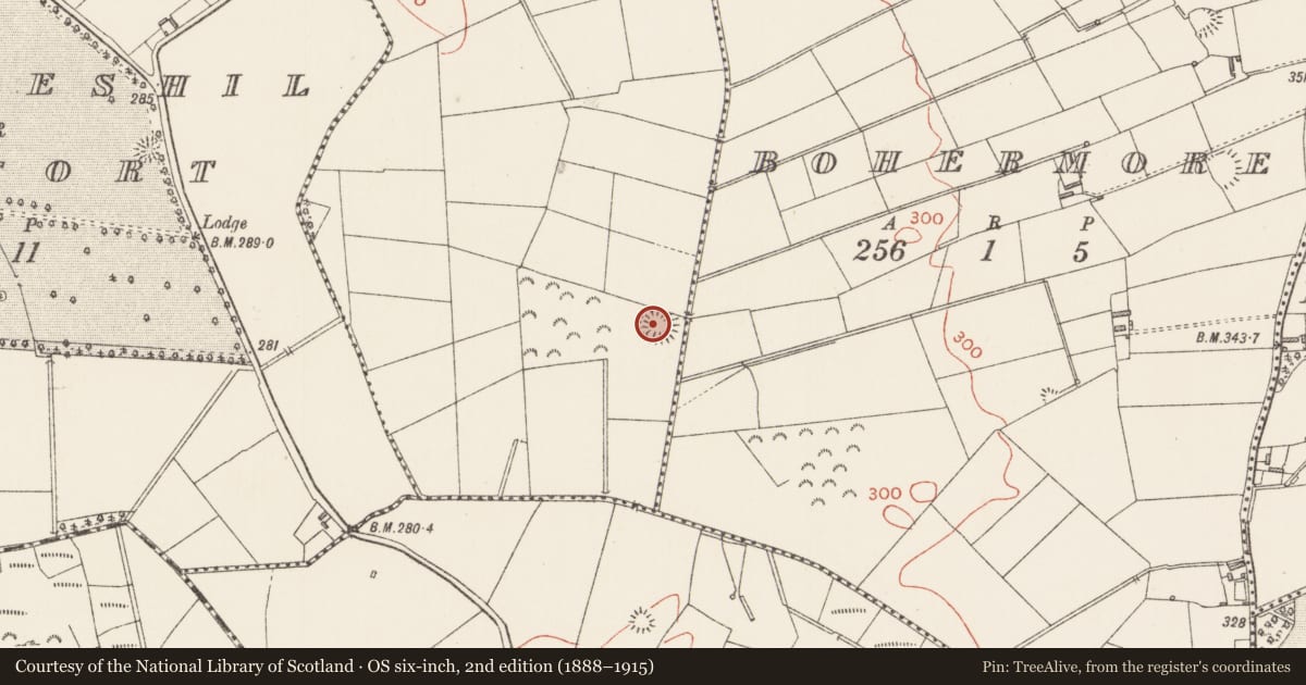 Ordnance Survey six-inch map, 2nd edition (1888–1915) covering the location of Ringfort - rath, Drumbaun, County Longford, with a pin at the register's coordinates