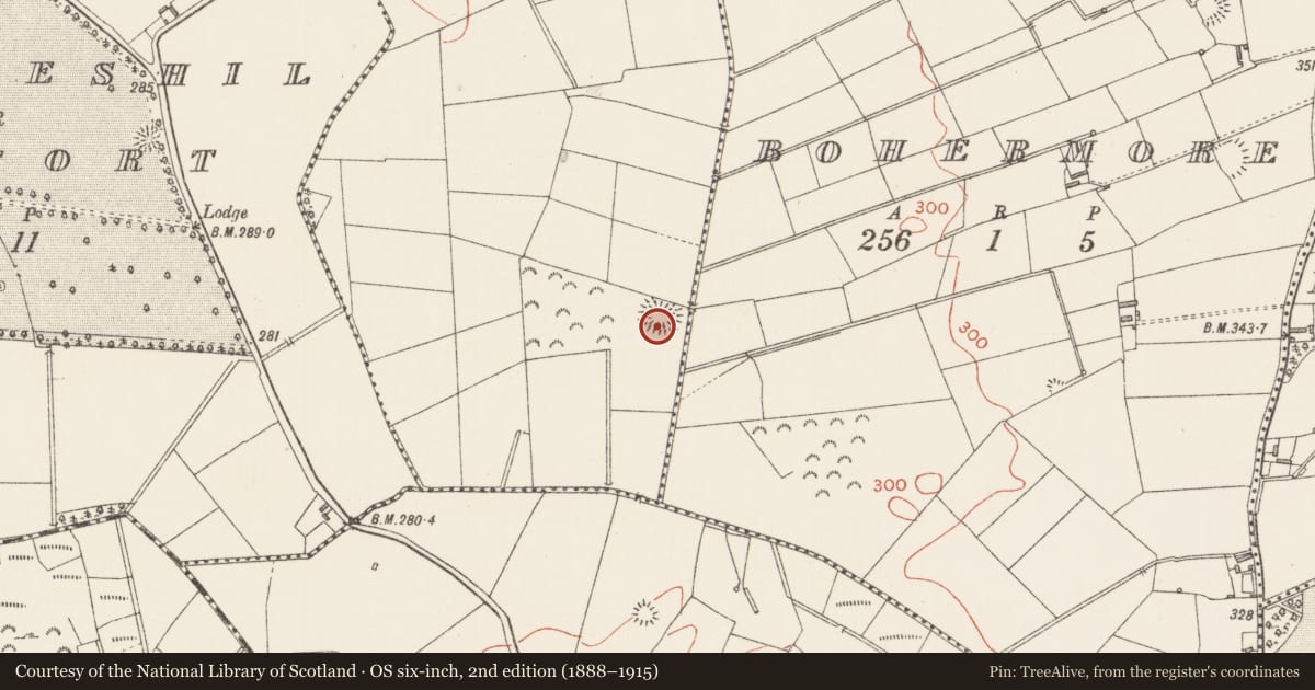 Ordnance Survey six-inch map, 2nd edition (1888–1915) covering the location of House - indeterminate date, Drumbaun, County Longford, with a pin at the register's coordinates