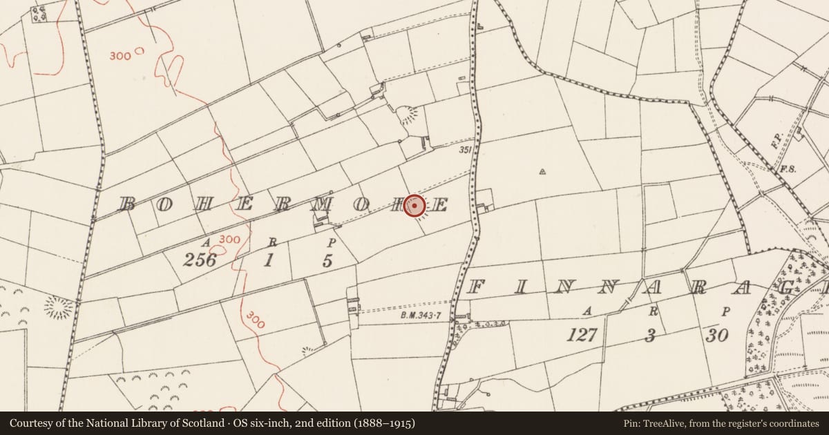 Ordnance Survey six-inch map, 2nd edition (1888–1915) covering the location of Ringfort - rath, Bohermore, County Longford, with a pin at the register's coordinates