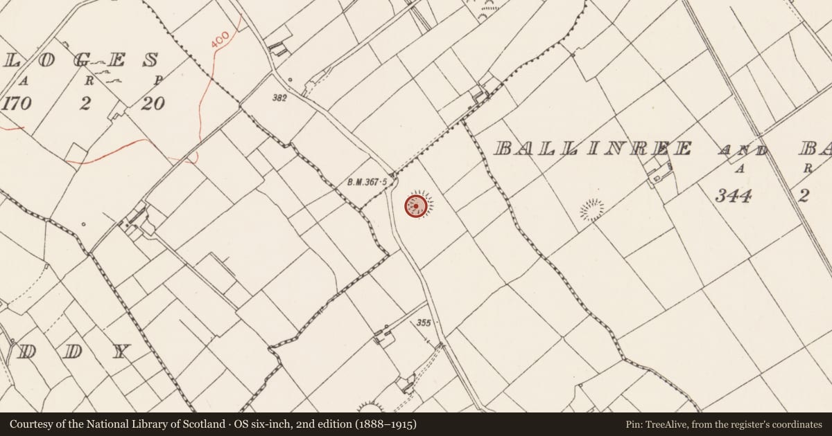 Ordnance Survey six-inch map, 2nd edition (1888–1915) covering the location of Ringfort - rath, Barneygole, County Longford, with a pin at the register's coordinates