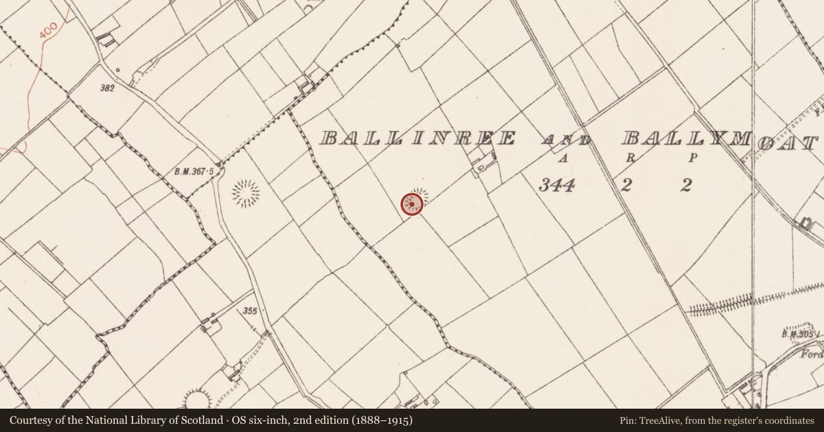 Ordnance Survey six-inch map, 2nd edition (1888–1915) covering the location of Ringfort - rath, Ballinree And Ballymoat, County Longford, with a pin at the register's coordinates