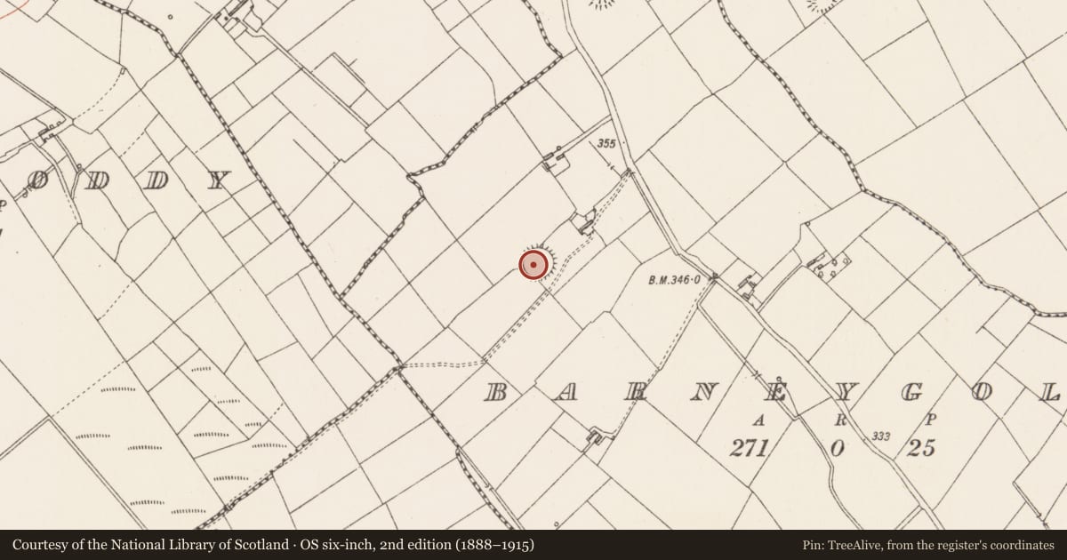 Ordnance Survey six-inch map, 2nd edition (1888–1915) covering the location of Ringfort - rath, Barneygole, County Longford, with a pin at the register's coordinates