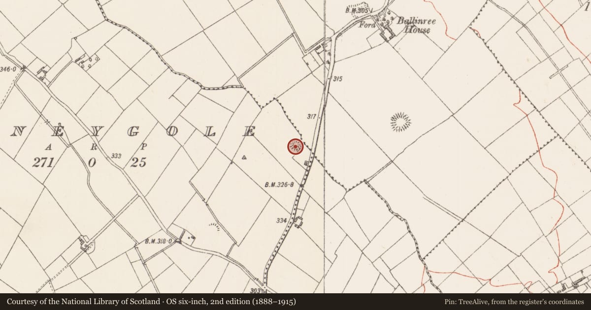 Ordnance Survey six-inch map, 2nd edition (1888–1915) covering the location of Ringfort - rath, Barneygole, County Longford, with a pin at the register's coordinates