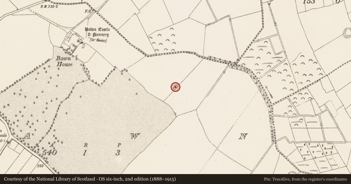 Ordnance Survey six-inch map, 2nd edition (1888–1915) covering the location of Ringfort - rath, Bawn, County Longford, with a pin at the register's coordinates