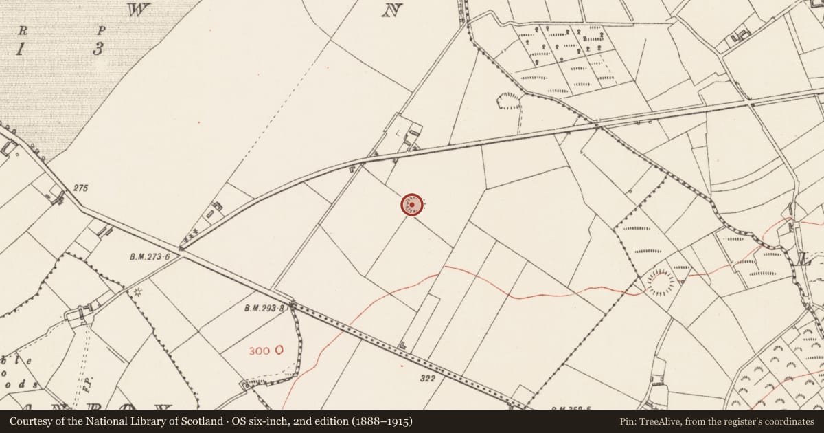 Ordnance Survey six-inch map, 2nd edition (1888–1915) covering the location of Ringfort - rath, Bawn, County Longford, with a pin at the register's coordinates