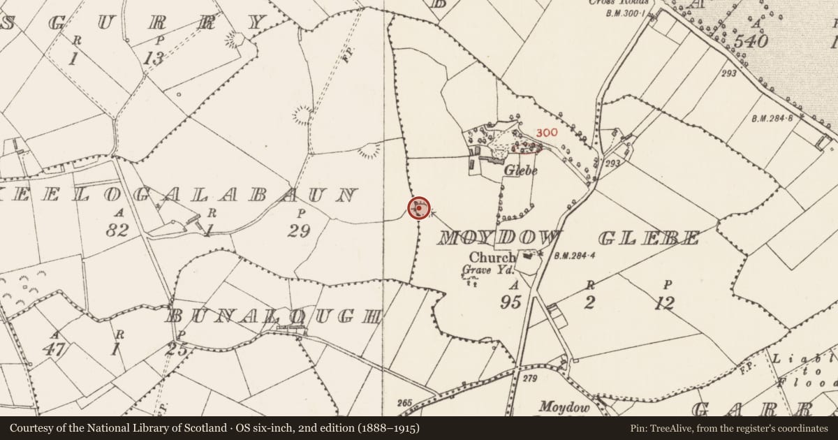 Ordnance Survey six-inch map, 2nd edition (1888–1915) covering the location of Ringfort - rath, Keelogalabaun, Moydow Glebe, County Longford, with a pin at the register's coordinates